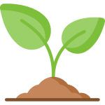 Personal Growth